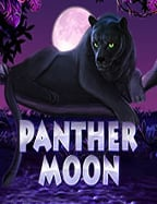 แทง ส เต็ ป: วิธีเล่นและจัดการเงินอย่างมืออาชีพ